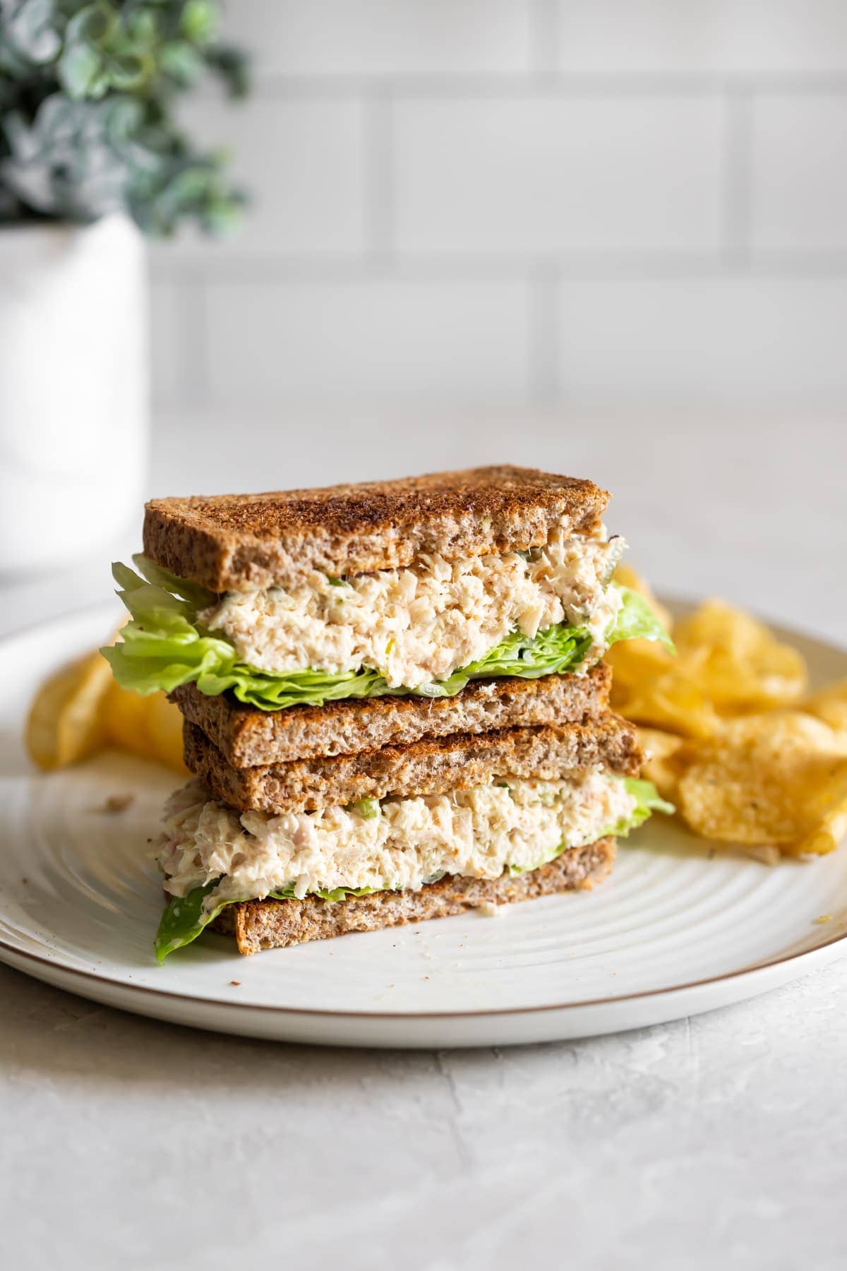 tuna salad sandwich with boston lettuce and chips on a white plate with a white background